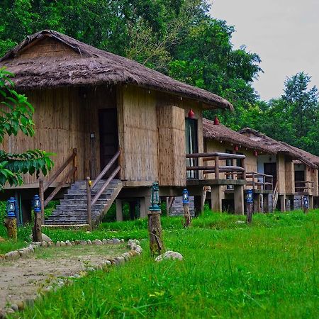 Temple Tiger Green Jungle Resort Kawasoti Kamer foto