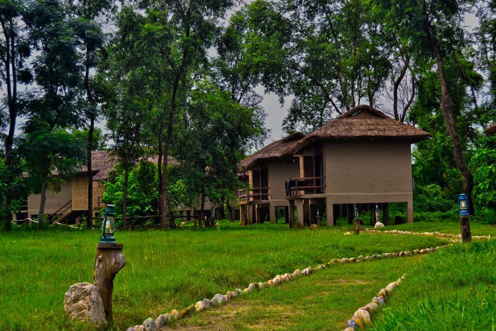 Temple Tiger Green Jungle Resort Kawasoti Buitenkant foto