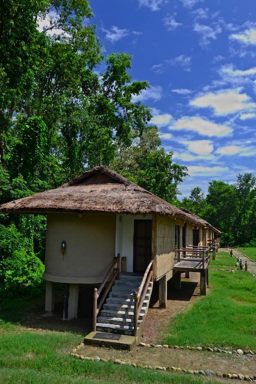 Temple Tiger Green Jungle Resort Kawasoti Kamer foto